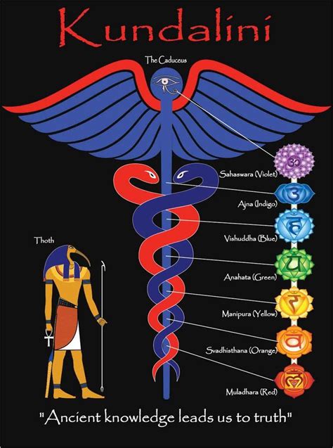 caduceus of hermes with chakras